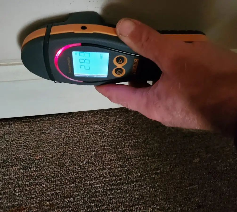 Moisture detection at baseboard during Sewage Cleanup & Sanitation in Vinton